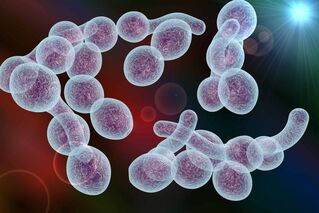 agent causal de la prostatite bactérienne chez les hommes